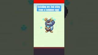 The EASIEST Way to get SHINYS in PokeRogue!!  #pokemon #pokerogue #shinypokemon