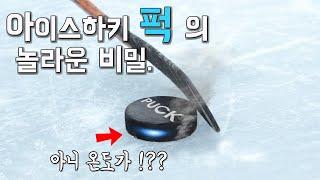 아무도 관심없었던 아이스하키 공 의 비밀