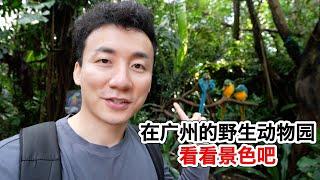 在广州长隆野生动物园走了一天，没去过的可以适当看看【MickeyworksTV】