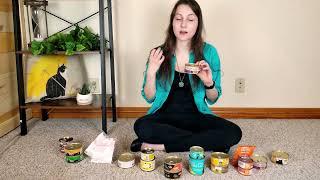 Wellness CORE Turkey & Chicken Kitten Food Review (We Tried It)