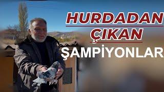 HURDADAN ÇIKAN ŞAMPİYONLAR - NUMAN ATİLA KÜMES ZİYARETİ OYUNKUŞU UÇUMU