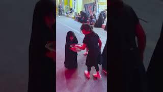 Karbala Shorts | Little Girl |Muharram 2024|Karbala Iraq #muharramstatus #muharram2024 #imamhussain