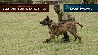 On the road with EIE: Anti-poaching canine heroes