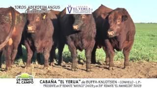 DE FRENTE AL CAMPO junto a CABAÑA "EL YERUA" -A. ANGUS COLORADOS -PC-