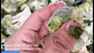 How To Freeze Broccoli? IQF Broccoli Freezing Line