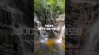 동해 무릉계곡 트레킹 | 여름 피서지로 최고 | #동해살이 #50대 #여행일상 #일상vlog