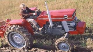 Massey Ferguson Heritage - 60s