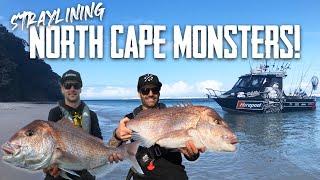 CRAZY fishing in a REMOTE location - S6 EP5 Far North NZ (Part 2)