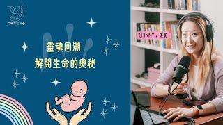 靈魂回溯 解開生命的奧秘