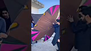 Patang Lover ️ Shorts Viral!!!! Patangbazi Kite flying #shorts #youtubeshorts #viralshorts #patang