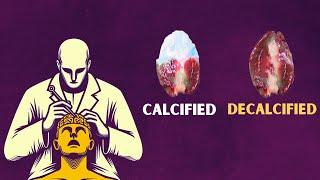 5 Ways to DECALCIFY Your PINEAL GLAND