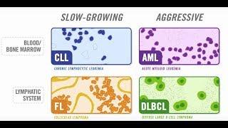 The Diversity Of Blood Cancer