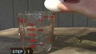 How to Make Natural Deer Repellent