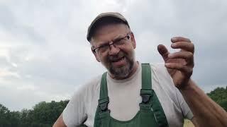 Ja wie schön ist doch die Biodiversität bei den Biobauern..