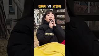 강아지 VS 고양이, 누가 더 좋아?