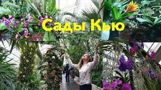 Куда пойти в Лондоне. Королевский ботанический сад Kew Gardens.