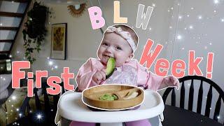 How To Wean Your Baby | BABY LED WEANING | my baby’s first week eating solids 6 months