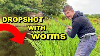 Anyone can do this EASY FISHING FUN - SMALL RIVER DROPSHOT FISHING WITH WORMS