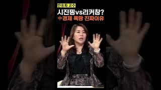 알고나면 치 떨리는, 중국 경제 폭망의 진짜 원흉 (f.안유화)