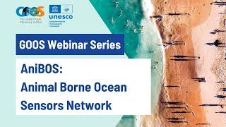 AniBOS | Animal Borne Ocean Sensors – introducing a new Global Ocean Observing System network