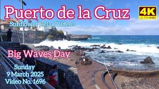 Tenerife ️ Puerto de la Cruz 9 March 2025 Teneriffa