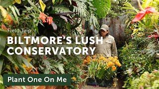 BILTMORE ESTATE Conservatory Tour — Ep. 371