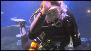 Ondine Dive Courses - 1st Class