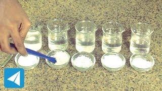 Compare solubility of salt, sugar and chalk | Solutions | Chemistry