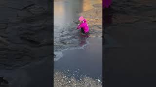 Мира и Свят — юные авантюристы  #funny #дети #реклама #humor #дальнийвосток  #рекомендации