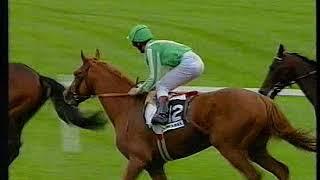 1995 Prix de l'Arc de Triomphe Lammtarra Includes Replay