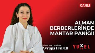 ALMAN BERBERLERİNDE MANTAR PANİĞİ! | YUXEL TV - 23.11.2024 AVRUPA HABER