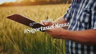 Türkiye Sigorta Birliği - Tarım Sigortası