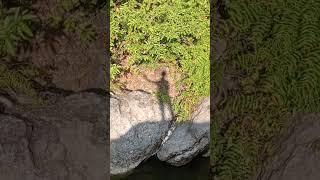 forest River and blogger aditya singh rajput  k