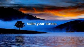 CALM  YOUR  STRESS 