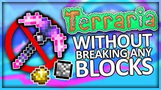 I Beat Terraria Without Breaking Any Blocks