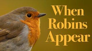 When Robins Appear - Short Film By Tom Stormont