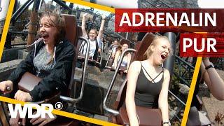 Freizeitpark der Weltrekorde - Phantasialand | Heimatflimmern | WDR