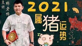 2021年属猪运势-永和资讯站