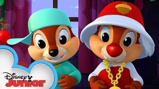 Tinsel Tussle!  | Chip 'N Dale's Nutty Tales | Disney Junior