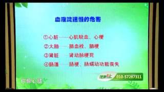 健康向上 04 改善血液巧治心血管病 张琳【中医养生Chinese Medicine】