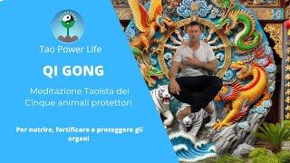 QI gong - Meditazione taoista dei cinque animali protettori