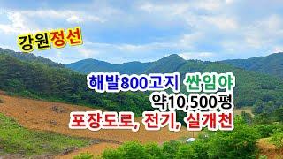 강원도 정선군 사북읍 직전리 해발800고지 두메산골오지 산약초재배 임업인 임업후계자 도시농부 싼임야매매, 포장길 전기 실개천 ok 자연인터싼임야 (매물번호 정선-2269)