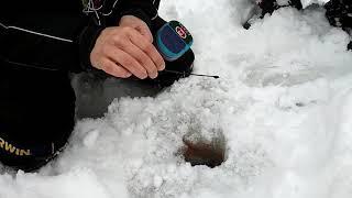 Анонс семинара по мормышке