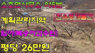 원주토지매매 소초면 전원주택지 토지매매 소초면사무소 근처로 평당26만원 귀농, 귀촌 사업용토지 추천합니다.