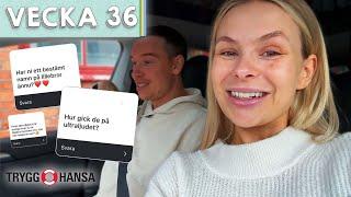 GRAVID Q&A! Valt namn, senaste ultraljudet & oro  - Caroline & Ben vecka 36