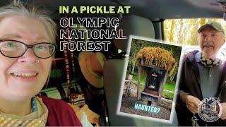 Lost in the Olympic National Forest, Ruby Beach & Casino Docking. Fulltime Truck Camper Living.