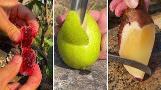 Farm Fresh Ninja Fruit Cutting | Oddly Satisfying Fruit Ninja #03