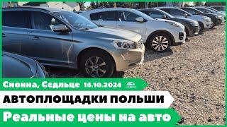 Автоплощадки Польша. Варшава. 16.10.2024.  Поиск и подбор авто.