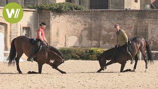 Chantilly : les plus belles écuries du monde - Mes grandes écuries