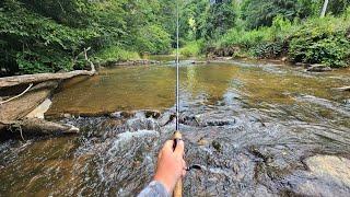 Trout Fishing With Jigs: Search For a Rare Species!